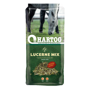 Hartog Lucerne