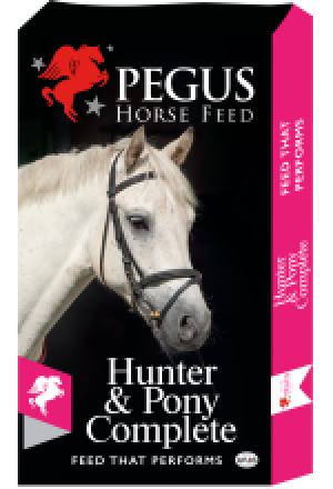 Hunter & Pony Complete 20kg