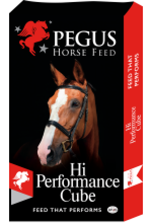 Pegus High Performance Mix 20kg