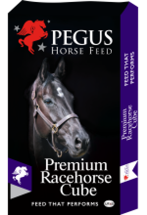 Premium Racehorse Cube 20kg