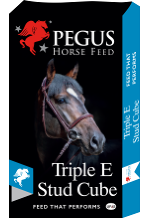 Pegus Triple E Stud Cubes 20kg