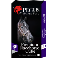 Premium Racehorse Cube 20kg