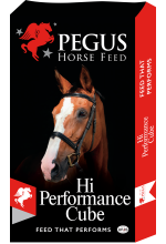 Pegus High Performance Mix 20kg