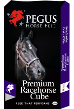 Premium Racehorse Cube 20kg