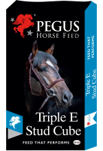 Pegus Triple E Stud Cubes 20kg